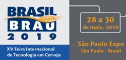 BRASIL BRAU 2019